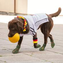 Zapatos para perro para suelo caliente - Adecuados para perros pequeños, medianos y grandes, botas protectoras de patas para perros, fáciles de poner y quitar, antideslizantes, impermeables, fáciles de limpiar, para playa y nieve. Incluye 2 accesorios aleatorios de sandalias transpirables