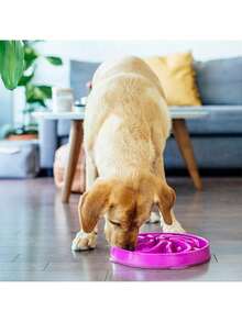 Outward Hound Fun Feeder Slo Bowl, Large Slow Feeder Dog Bowl, 4 Cups, Purple - 藍色 - 查看 5