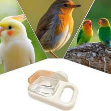 小型宠物ABS材质笼式喂食器，宠物鸟喂食碗带夹子鸟笼水食杯，鸟饮水器，仓鼠笼食盒挂笼鸟食碗 - 彩色 - 查看 11