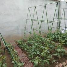 10-Pack Adjustable Stands - Heavy Duty Stakes For Tomatoes, Cucumbers, Vines And Pots | Outdoor Climbing Stand For Vegetables, Grapes And Garden Pole Support Structure Plants