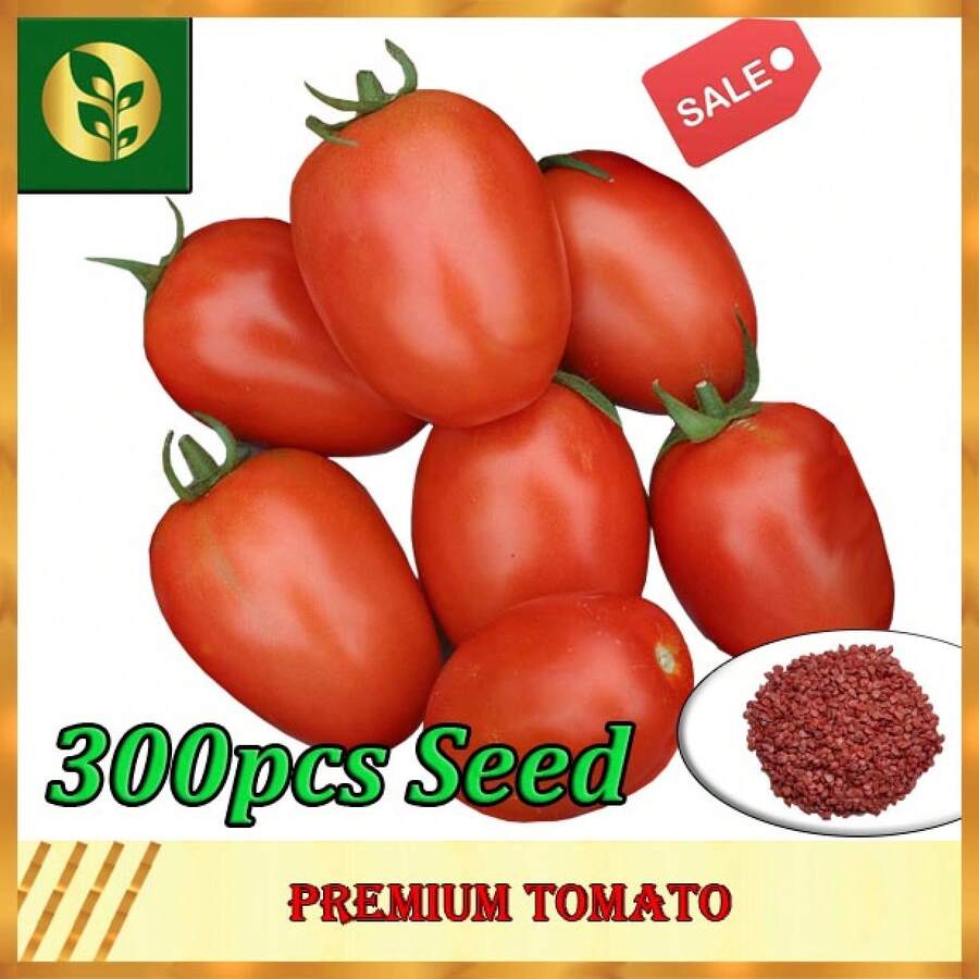 Tomato Seeds | Vegetable Seeds | Golden Plant And Seed Store - 300Pcs Seeds - View 1