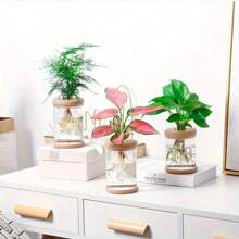 1pc Transparent Hydroponic Flower Pots Resembling Glass Small Flower Pots, Soilless Planting Small Pots, Green Plants, Resin Window Sills, Flower Pots, Garden Tool