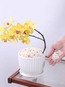 Jade Decorative Pebbles Suitable For Gardens And Homes -0.3-3 Cm, Multi-Color Stones (White, Black, Yellow, Gray, Purple, Blue, Green) Suitable For Indoor Plants, Outdoor Landscapes, And Holiday Decorations - Perfect For Terraces, Potted Plants, Bathrooms, Aquariums, And Micro Landscapes, Holiday Decorations | Natural Appearance | Beauty, Garden Decorations