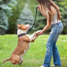 Adjustable Leather Spiked Pet Collar, Punk Style, Anti-Bite Necklace For Medium And Large Pets - Multicolor - View 7