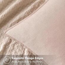 Local Delivery- Decorative Linen Pillow Covers 18x18 Inch Natural Beige ​Boho Farmhouse​ ​Neutral Couch Throw Pillows For Bed Pack Of 2 Accent Outdoor Pillowcase Modern Sofa Cushion Livingroom Home Decor - Light Pink - 查看 2