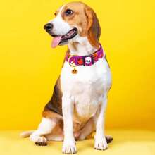 Collier pour chien d'Halloween, cadeau pour animaux de compagnie, collier avec pendentifs mignons, collier de citrouille, d'araignée, de fantôme et de chauve-souris ajustable pour chiens de petite, moyenne et grande taille, mâles et femelles