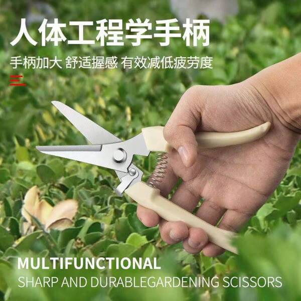 1pc Stainless Steel Gardening Scissors - Ideal For Trimming And Shaping Plants And Flowers