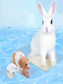 Płyta aluminiowa chłodząca na lato dla zwierząt, odświeżająca i wygodna, lodowato-chłodna, szybkie rozpraszanie ciepła, odpowiednia dla chomików, królików, psów, kotów, chłodząca mata do łóżka, akcesoria do maty chłodzącej na lato do klatki dla zwierząt