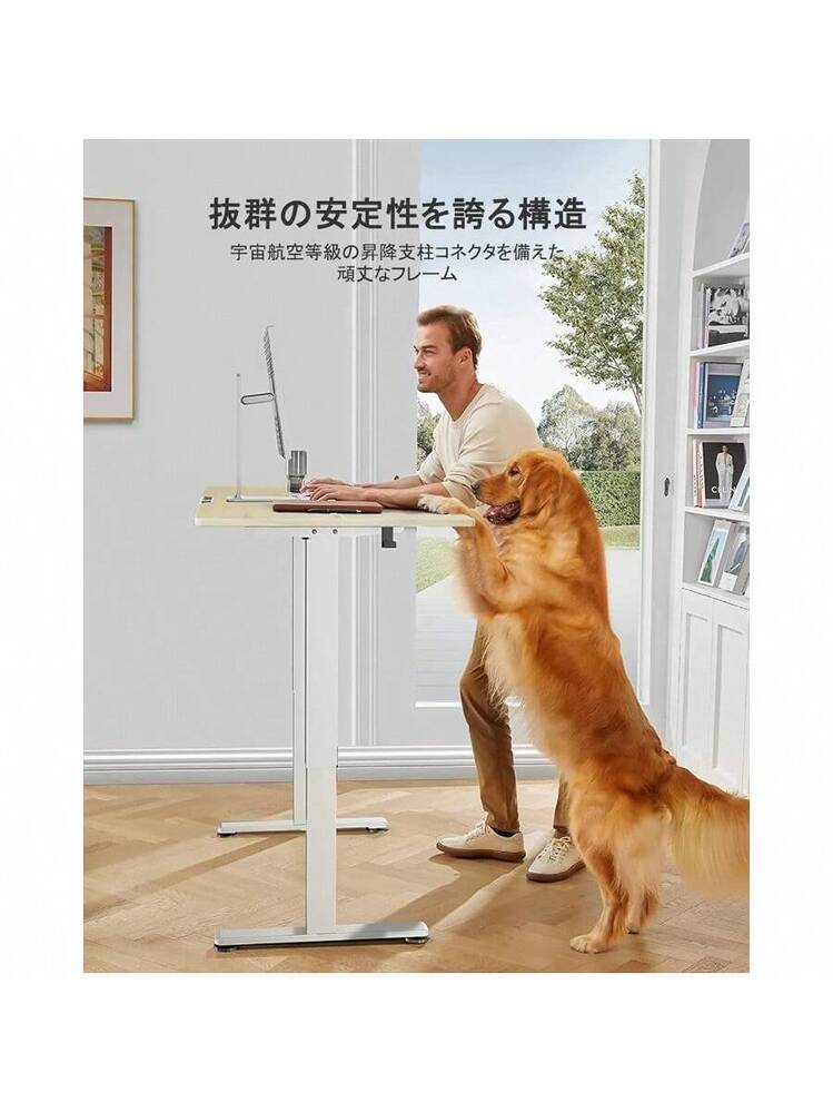 ErGear 電動 オフィスワークテーブル 昇降式デスク スタンディング