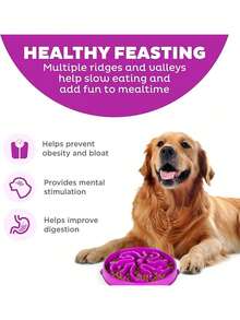 Outward Hound Fun Feeder Slo Bowl, Large Slow Feeder Dog Bowl, 4 Cups, Purple - 藍色 - 查看 4