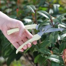 1pc Stainless Steel Gardening Scissors - Ideal For Trimming And Shaping Plants And Flowers
