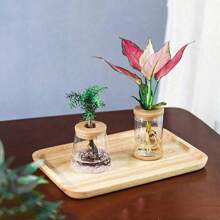 1pc Transparent Hydroponic Flower Pots Resembling Glass Small Flower Pots, Soilless Planting Small Pots, Green Plants, Resin Window Sills, Flower Pots, Garden Tool