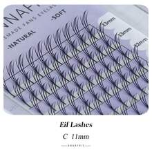 ANNAFRIS 12 rangées de rallonges de cils manga renard, spire Eif Pteris, frisure C/D de 8 à 15 mm mélangée, amas de cils bandes de style manga, look naturel volumineux et moelleux, pour les yeux des femmes et les soirées, pour les professionnels, plus facile à greffer, faux cils légers prémontés en éventail, plumes de style anime, outils de maquillage à fleurs automatiques, pour les débutants dans les salons de beauté, cils manga, amas de cils bandes de style manga, amas de cils, faux cils individuels, cils, faux cils - Noir - Voir 28