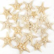 Natural Starfish Decoration Bulk Set, For Wedding Beach Themed Decor, Home DIY Craft, Christmas Tree Starfish Ornaments
