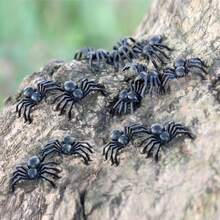 万圣节黑蜘蛛小号塑料蜘蛛万圣节派对家居装饰整蛊恶作剧玩具鬼屋