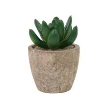 1 Set(5pcs Or 3pcs Or 2pcs)Artificial Succulent Plants Potted,Simulation Plants With Small Artificial Plants, Includes Flower Pots For Interior Home Decor, Office, Bathroom And Bedroom, Comes With Plastic Eucalyptus And Micro Wheat Grass Plants, Perfect For Indoor Desk Artificial Plant Decoration