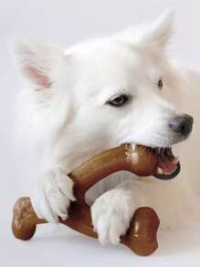 1 Piece Durable Dog Chew Toys, Suitable For Aggressive Chewing, Medium Size