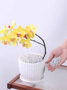 Gray Decorative Pebbles Suitable For Gardens And Homes -0.3-3 Cm, Multi-Color Stones (White, Black, Yellow, Gray, Purple, Blue, Green) Suitable For Indoor Plants, Outdoor Landscapes, And Holiday Decorations - Perfect For Terraces, Potted Plants, Bathrooms, Aquariums, And Micro Landscapes, Holiday Decorations | Natural Appearance | Beauty, Garden Decorations