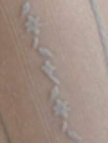 1 Pair French Vertical Striped Jacquard Sheer Lace Knee-High Stockings, Cozy Socks - Multicolor - View 7