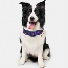 Collier pour chien d'Halloween, cadeau de fête pour animaux de compagnie avec pendentifs mignons, collier réglable de citrouille, araignée, fantôme, chauve-souris pour chien de petite, moyenne et grande taille, mâle et femelle