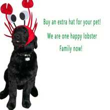 1 pièce Chapeau de chiot hawaïen, chapeau de homard de fête d'été de fruits de mer, coiffe amusante pour les fêtes, accessoire pour photobooth