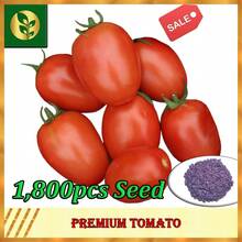 Tomato Seeds |   Vegetable Seeds |   Golden Plant And Seed Store - 1800pcs Seeds - View 1