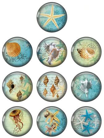 Cabochons en verre ronds photos vintage avec motifs d'étoile de mer, coquillages et méduses en 12mm/20mm/25mm pour fabrication de bijoux
