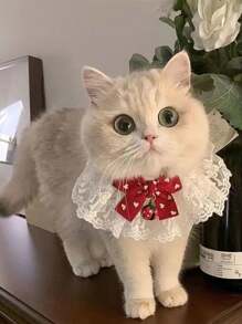 1pc Cute Bow Kitty Princess Style Bib Necklace With Lace Collar And Bell Pendant