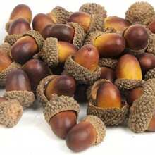 20pcs/50pcs/100pcs Artificial Mini Acorns, Fake Fruit Props Lifelike Oak Nut Plants Model Craft For Photography Props,Party Decoration,Autumn Decorations,Home Kitchen Table Decor, Thanksgiving Halloween Christmas Festival Decorative Ornaments ,Perfect For DIY Crafts, Home Decor, Party Favors,Party Favor Supplies