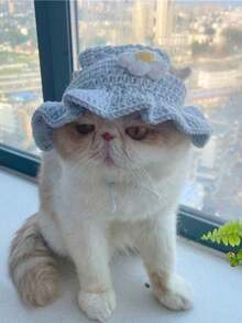 1 pieza Gorro hecho a mano tejido para mascotas con patrón de flores, gorro de crochet lindo para gatos y perros pequeños/medianos - Celeste - Ver 10