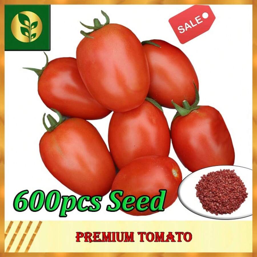 Tomato Seeds | Vegetable Seeds | Golden Plant And Seed Store - 600pcs Seeds - View 1
