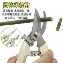 1pc Stainless Steel Garden Shears - Ideal For Trimming And Pruning Plants And Flowers