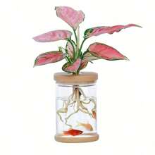1pc Transparent Hydroponic Flower Pots Resembling Glass Small Flower Pots, Soilless Planting Small Pots, Green Plants, Resin Window Sills, Flower Pots, Garden Tool