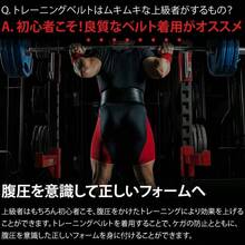 Training Belt, Power Belt, Muscle Training, Leather, Gym, Weight Training Belt - L - 查看 3