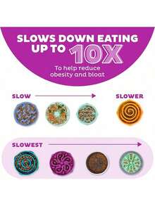 Outward Hound Fun Feeder Slo Bowl, Slow Feeder Dog Bowl, Medium/, Turquoise - Màu tím - Xem 4