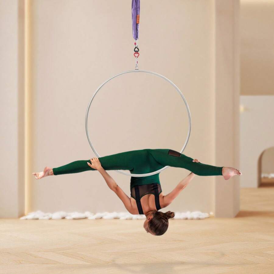 SENDERPICK Aerial Hoop Kit, Aerial Hoop, Aerial Dance Circus Ring For Yoga Acrobatics Gymnastics - Silver and Purple - View 1