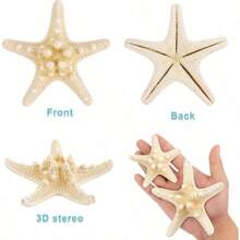 Natural Starfish Decoration Bulk Set, For Wedding Beach Themed Decor, Home DIY Craft, Christmas Tree Starfish Ornaments