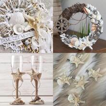 Natural Starfish Decoration Bulk Set, For Wedding Beach Themed Decor, Home DIY Craft, Christmas Tree Starfish Ornaments