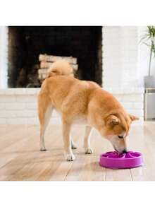 Outward Hound Fun Feeder Slo Bowl, Slow Feeder Dog Bowl, Medium/, Turquoise - Màu tím - Xem 6