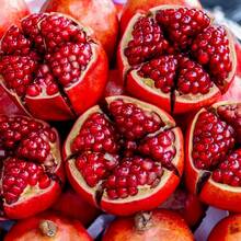 260 Pomegranate Seeds Punica Granata Premium Outdoor Flowers Plants Gardening Nature