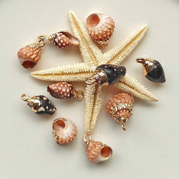 3pcs Natural Colorful Shell & Conch DIY Jewelry Accessories, Earrings, Pendant, Crafts