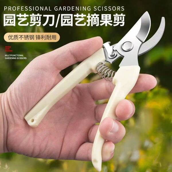 1pc Stainless Steel Garden Shears - Ideal For Trimming And Pruning Plants And Flowers