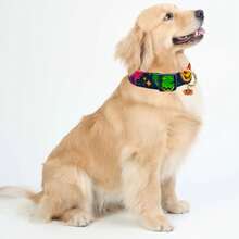Collier pour chien d'Halloween, cadeau pour animal de compagnie. Collier avec pendentifs mignons, ajustable avec citrouille, araignée, fantôme, chauve-souris. Convient aux chiens de petite, moyenne et grande taille, mâles et femelles.