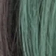 Green Highlight