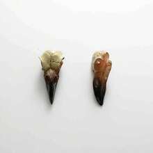 Raven Skull Gothic Raven Decorative Statue Mask Resin Necklace Pendant Jewelry - Một đôi bông tai - Xem 5