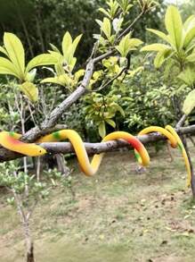Serpiente suave de goma para broma, divertida para fiestas y uso diario, serpiente de plástico suave con textura realista, de material TPR impermeable y elástico, regalo para el Día de los inocentes y cumpleaños