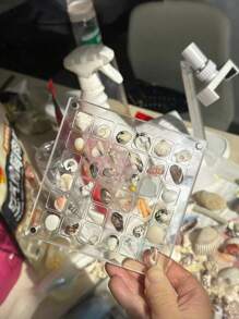 Neue quadratische klare Acryl Schaukasten Mini Muschel Sammlung Displaybox, Muschelausstellungskästen