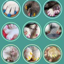 20 Stücke Katzenpfötchen Kappen, Krallenschutz für Katzen & Hunde, Katz/Hund Krallen Abdeckung, Haustier Krallenschutz