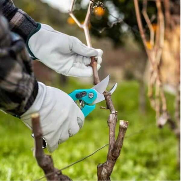 1PC Garden Pruning Scissors, Branch Pruning Scissors, Garden Fruit Tree Pruning Scissors, Art Garden Scissors, Flower Pruning Scissors, Household Garden Scissors