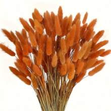 60/100 pezzi di fiori secchi di Lagurus Ovatus soffici di colore blu chiaro, coda di coniglio, per decorazioni boho in casa, matrimoni, tavolo da pranzo, raduni di fattoria, regali per feste, compleanni, lauree, decorazioni autunnali